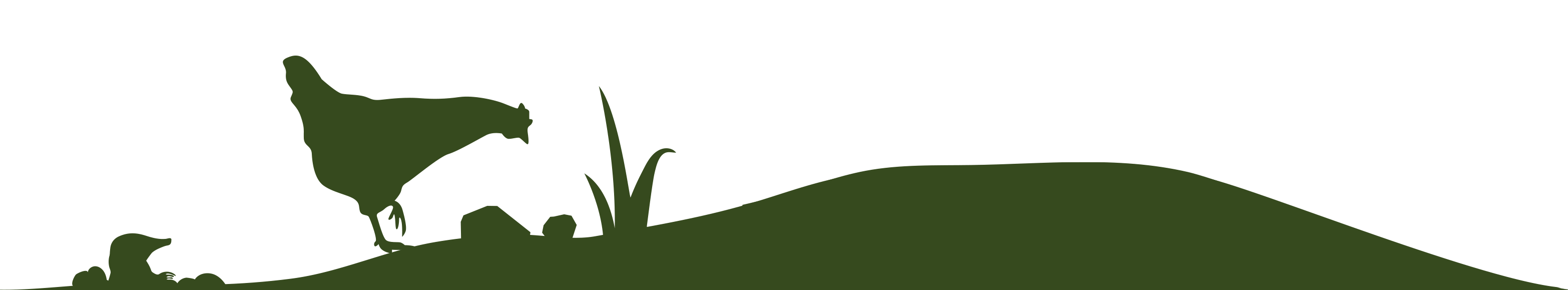 Footer field